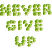 Lettuce / It Says "Never Give Up"