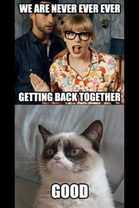 Grumpy Cat