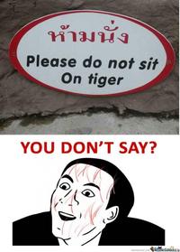 You Don't Say?
