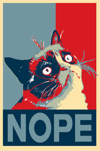 Grumpy Cat