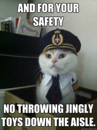 Captain Kitteh