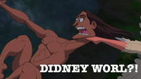 Didney Worl