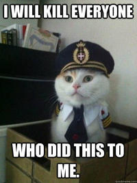 Captain Kitteh