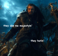 Majestic Thorin
