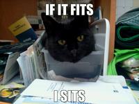 If It Fits I Sits