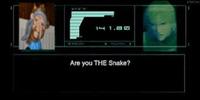 Balloon Solid Snake