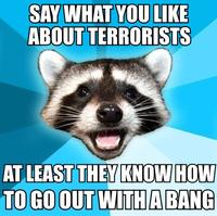Lame Pun Coon