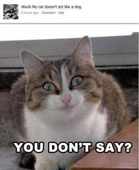 You Don't Say?