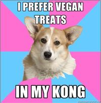 Critical Feminist Corgi