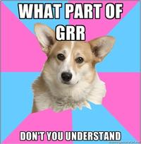 Critical Feminist Corgi