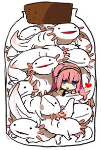 Bottle Meme