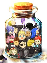 Bottle Meme