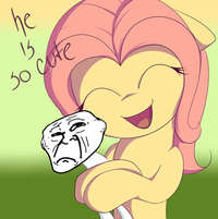 Pony Reactions