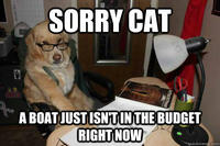 Financial Advice Dog