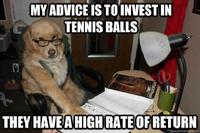 Financial Advice Dog