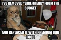 Financial Advice Dog