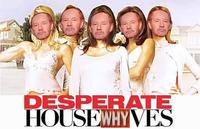 Tony Kornheiser's "Why"
