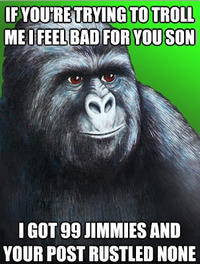 That Really Rustled My Jimmies