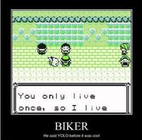 YOLO