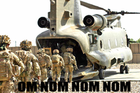 Om Nom Nom Nom