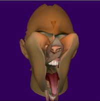 Wat