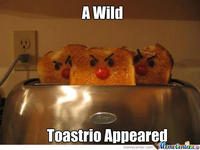 A Wild X Appears! / Wild X Appeared!
