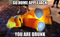 Go Home, You Are Drunk