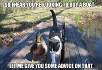 I Should Buy a Boat Cat