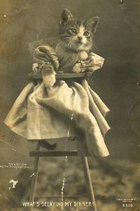LOLcats