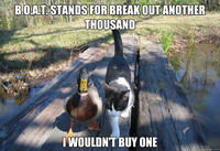 I Should Buy a Boat Cat