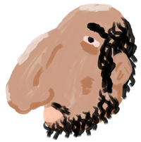 b27.png