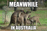 Meanwhile in X