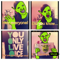 Shrek