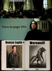 Turn To Page 394