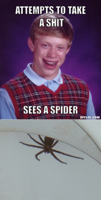 Bad Luck Brian