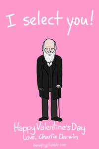 Valentine's Day E-cards