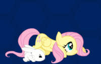 My Little Pony: Fighting Is Magic