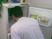 241543903 / Heads In Freezers