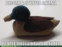 Actual Advice Mallard