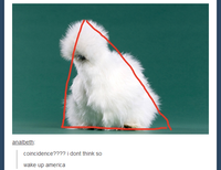Peyton's Fluffy Chicken