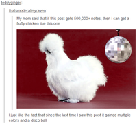 Peyton's Fluffy Chicken