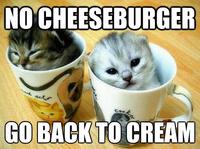 LOLcats