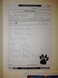 Yes, This is Dog