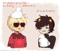 Peyton's Fluffy Chicken
