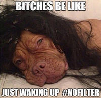 Bitches Be Like