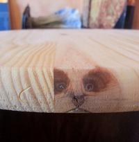 Things With Faces (Pareidolia)