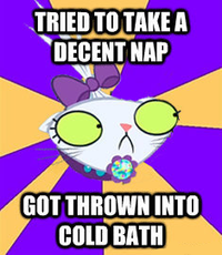 Anxiety Cat