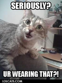 LOLcats