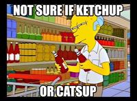 Futurama Fry / Not Sure If X