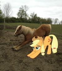I Want to Cum Inside Rainbow Dash